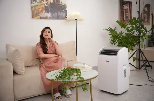 Điều hòa cây mini gồm những loại nào? Giá bao nhiêu?